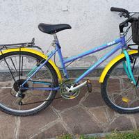 bici da uomo