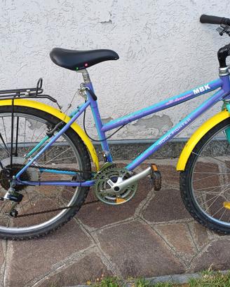 bici da uomo
