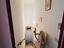 Immagine 21