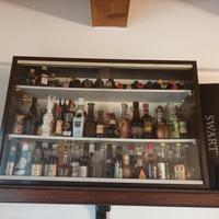 collezione di mignon di liquori 