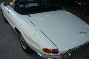 ALFA ROMEO Spider - 1900