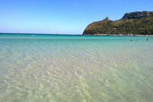 Casa vacanze Orchidea