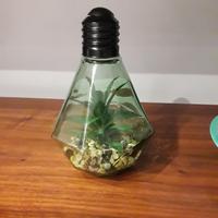 Lampada con piante