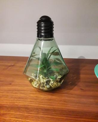 Lampada con piante