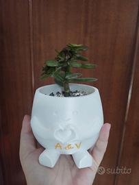vaso per piante grasse 