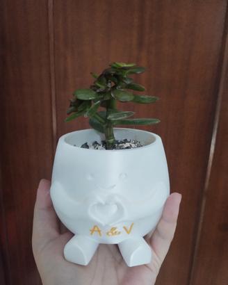 vaso per piante grasse 