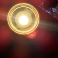 Lampada scrivania in metallo fiore "The Wall"