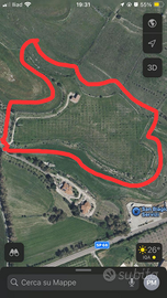 Terreno con capannone agricolo