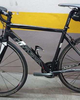 Bici da corsa Olympia Khers Xenon 10v taglia S 51