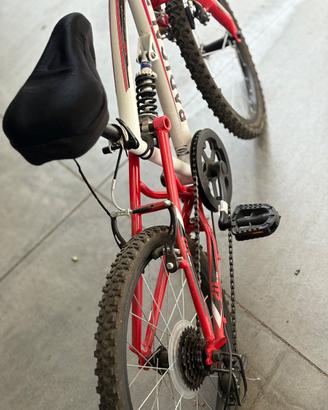 Bicicletta Bimbo