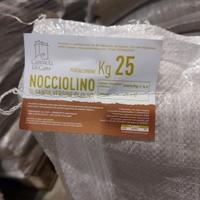 Nocciolino 