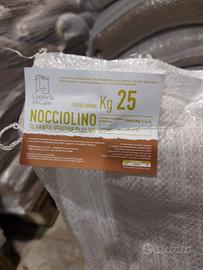 Nocciolino 