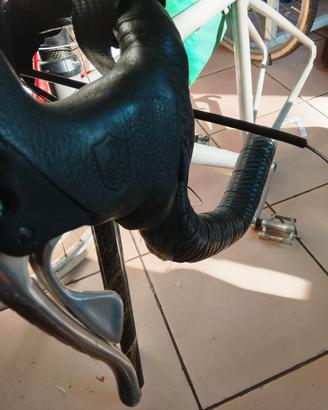 campagnolo 