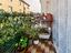 Immagine 13