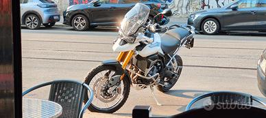 Triumph Tiger 900 rally pro