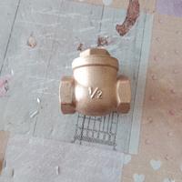 valvola di non ritorno 