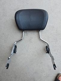 sissy bar touring 