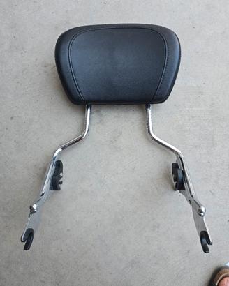 sissy bar touring 