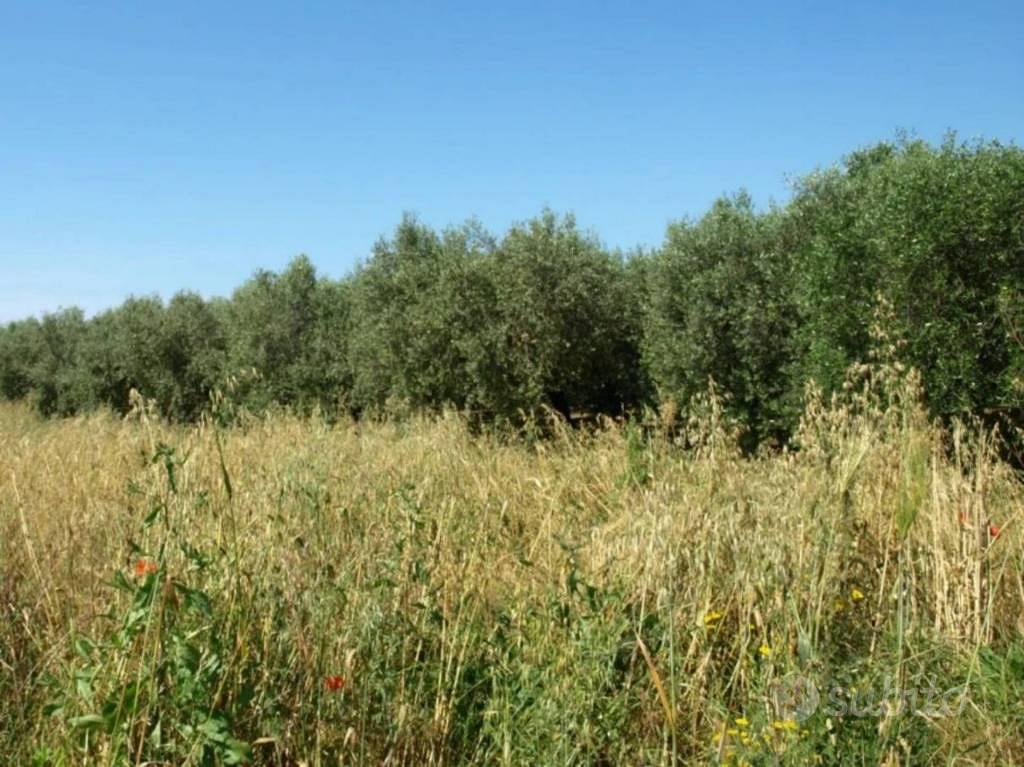 Immobile in asta di 5649 m² a Fonni - Vista 4