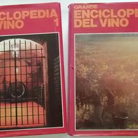 Grande enciclopedia del vino 2 volumi + 3 volumi