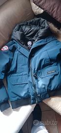 giubbotto - bomber Canada Goose 