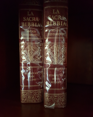 La Sacra Bibbia Nuovo Testamento