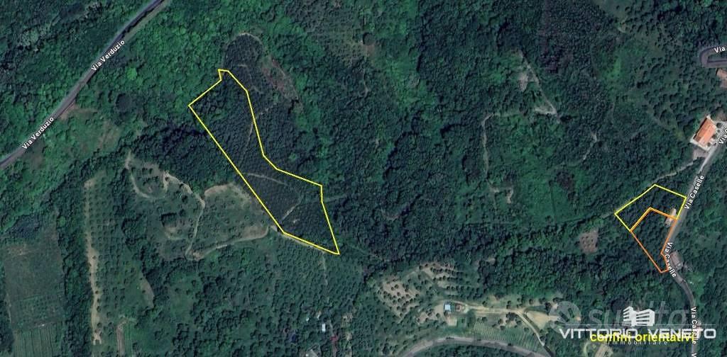 Terreno di 11118 m² a Stella Cilento - Vista 4