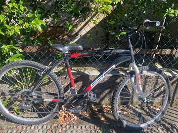 mountan bike da ragazzo