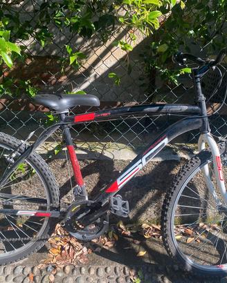mountan bike da ragazzo