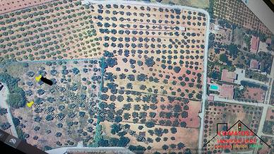 Terreno Contrada Spadafora (Rif.1505)