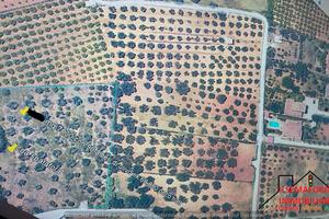 Terreno Contrada Spadafora (Rif.1505)