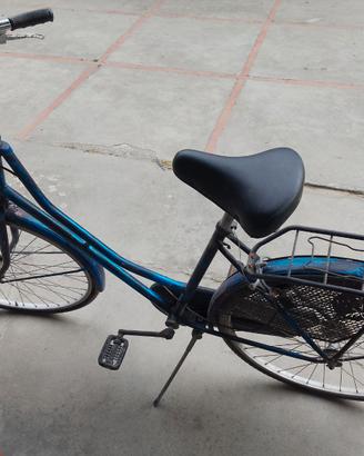 Bicicletta da passeggio da donna
