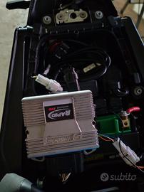 Rapid bike evo exclusive