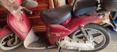 Scooter  Scarabeo