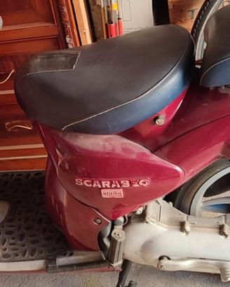 Scooter  Scarabeo