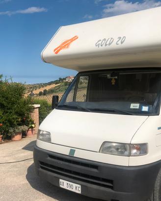 Camper CI gold 20