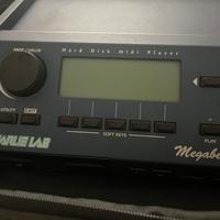 Megabeat Charlie Lab