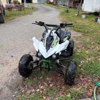 Quad viper sport
