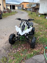 Quad viper sport