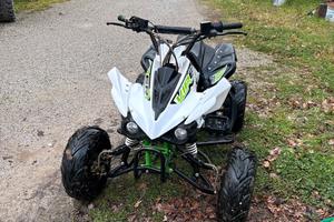 Quad viper sport
