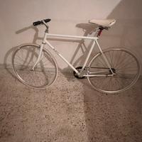Bici scatto fisso/fixed