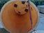 Immagine 5