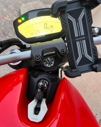 Ducati monster