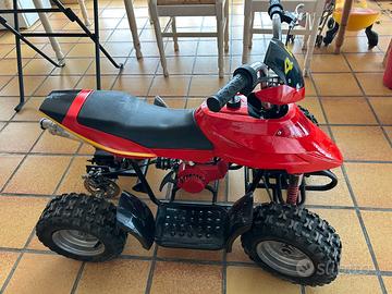 Mini Quad