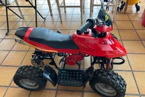 Mini Quad