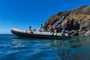 Gommone marlin 480