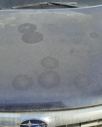 SUBARU FORESTER 2009 - COFANO ANTERIORE