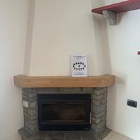 Camino termoventialto a legna Palazzetti +sasso