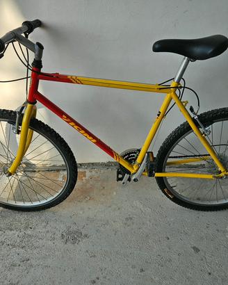 bicicletta Mountain bike 