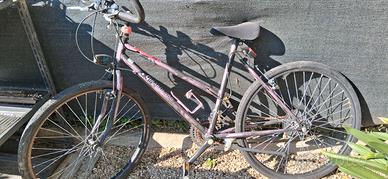 Bici girardengo